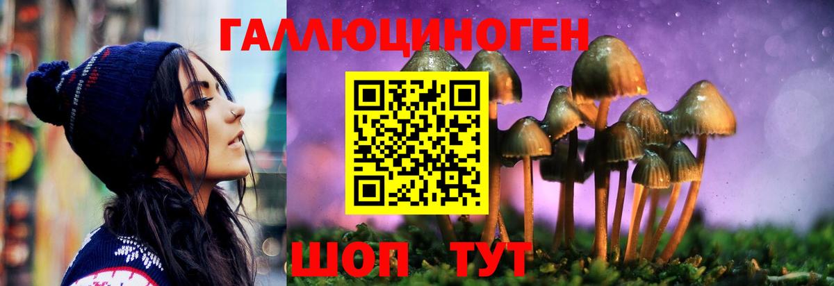 Псилоцибиновые грибы Magic Shrooms Оренбург