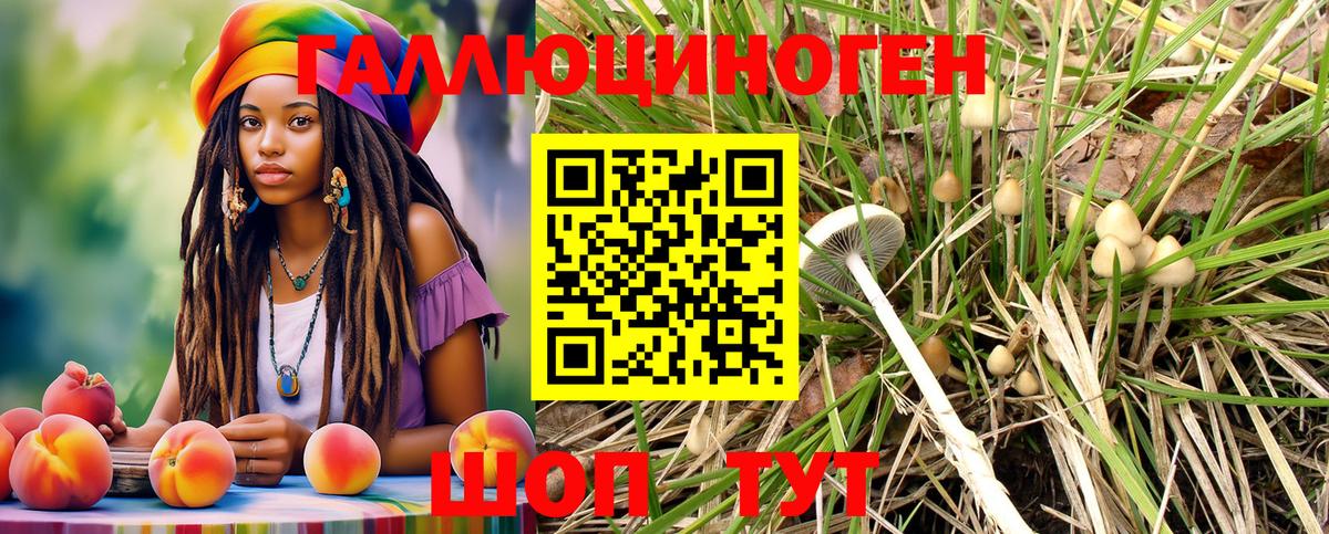 Оренбург  Псилоцибиновые грибы ЛСД  Вход с VPN  Псилоцибиновые грибы Magic Shrooms 